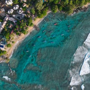 Avanza con éxito la iniciativa Conserva Aves en Colombia