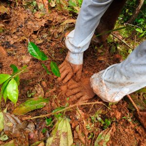 Por las Reinitas, con la gente 