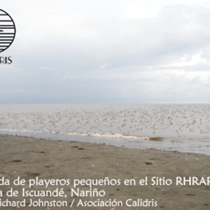 Acciones de conservación en el complejo marino-costero Iscuandé-PNN Sanquianga-PNN Gorgona