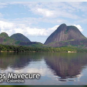 Unidos por Conservación de un Potencial Sitio Ramsar: Estrella Fluvial del Inírida