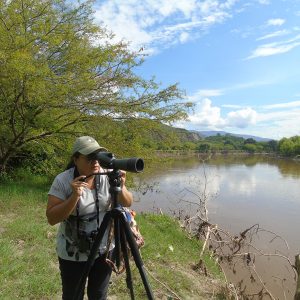 Censo Neotropical de Aves Acuáticas en humedales del Valle del Cauca y Cauca