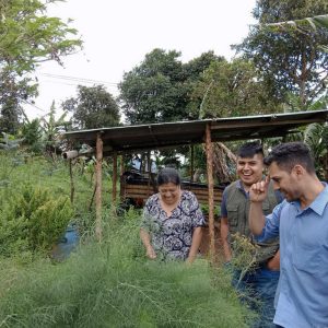 Productores en la cordillera Occidental aliados de Cardellina canadensis