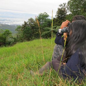 Restaurando hábitat para las reinitas en los Andes occidentales de Colombia