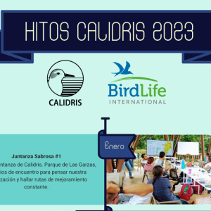 Hitos Calidris 2023
