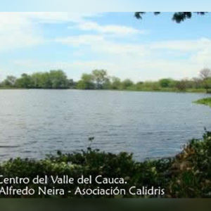 Humedales para la Conservación de la Vida