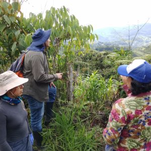 filter: 0; fileterIntensity: 0.0; filterMask: 0; brp_mask:0;
brp_del_th:null;
brp_del_sen:null;
delta:null;
module: photo;hw-remosaic: false;touch: (-1.0, -1.0);sceneMode: 2;cct_value: 0;AI_Scene: (-1, -1);aec_lux: 0.0;aec_lux_index: 0;albedo:  ;confidence:  ;motionLevel: -1;weatherinfo: null;temperature: 31;