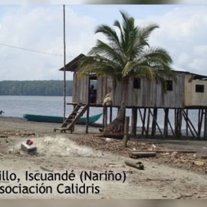 La bocana de Iscuandé: La conservación en medio del conflicto