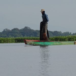 Cambios en los humedales del Valle del Cauca