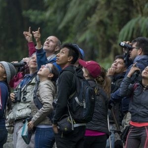 Hacia un aviturismo integral: ambiente, sociedad y economía