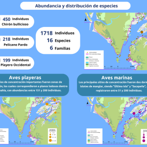 Distribución y abundancia de aves marinas y playeras en el PNN Uramba Bahía Málaga