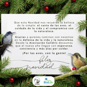 ¡Feliz navidad y próspero 2026!