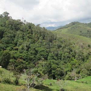 Las áreas protegidas de la Sociedad Civil