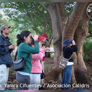 Segunda Jornada 2008 del CNAA en el Valle del Cauca