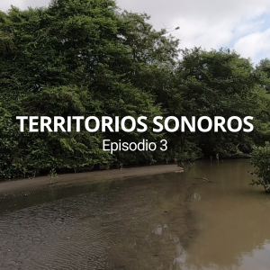 Territorios sonoros 3