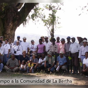 Se realizó con éxito el Primer Taller para la “Conservación de Aves Playeras Migratorias en Arroceras del norte de América del Sur”