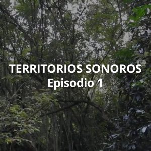 Territorios sonoros