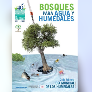 2 de febrero – Día Mundial de los Humedales