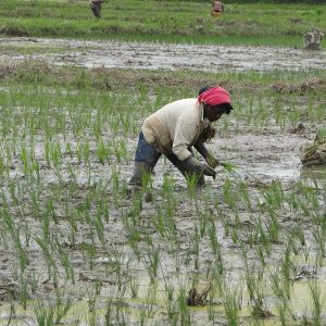 El clima está cambiando