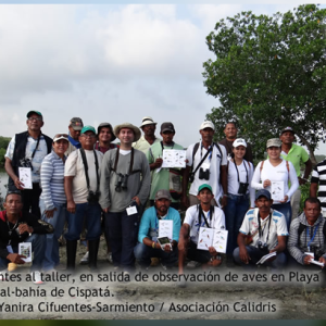 La Bahía de Cispatá, un sitio potencial para el aviturismo en Colombia de la mano de ASOCAIMAN