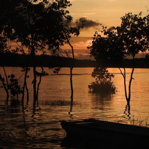 Un territorio que conserva el manglar y la piangua