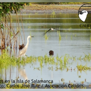 Salamanca desde mi ventana