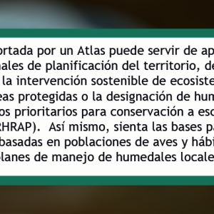 Atlas de Aves Acuáticas de Colombia – sitio web