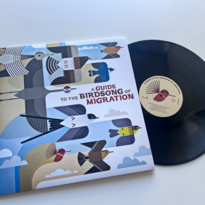 Guía del canto de las aves migratorias