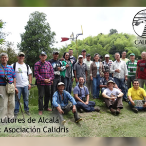 Mirando afrecheritos, arrieritos y siriríes en cafetales