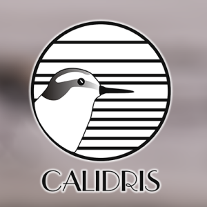 Oportunidades de la Geoinformación y los SIG: un nuevo enfoque para organizaciones de clase mundial