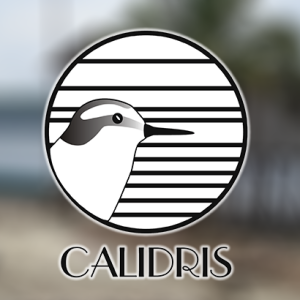 Oportunidades de los Sistemas de Información Geográfica para Organizaciones