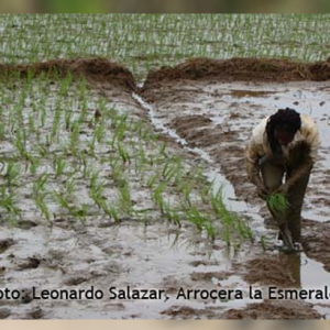 Premio nacional de ecología planeta azul: un reconocimiento al deber cumplido