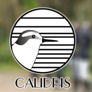 Prioridades de conservación para aves acuáticas en el Neotrópico