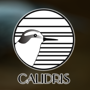 Se acerca La Quinta Reunión del Grupo de Aves Playeras del Hemisferio Occidental