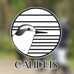 Celebramos con éxito El Festival de las Especies Migratorias