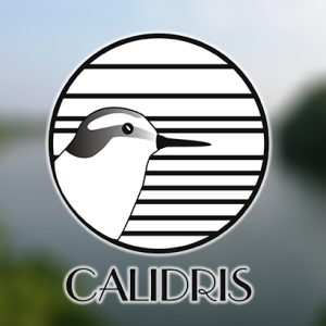 Curso Conservación de humedales y aves acuáticas en la Orinoquia colombiana