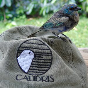 ¿Qué es ser un buen amigo de las aves en Colombia?