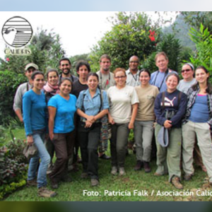 Censos navideños 2012, un buen balance
