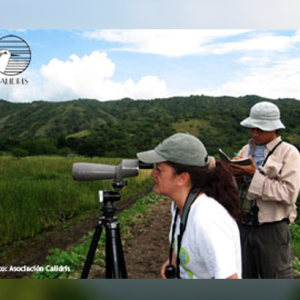 Censo Neotropical de Aves Acuáticas, febrero de 2013. ¡Participa!