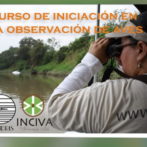 Curso de iniciación en la observación de aves