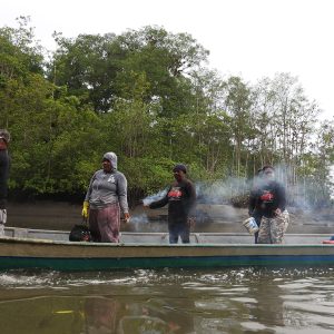Pianguar, un oficio de tenacidad