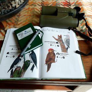 Calidris en tiempos de Coronavirus