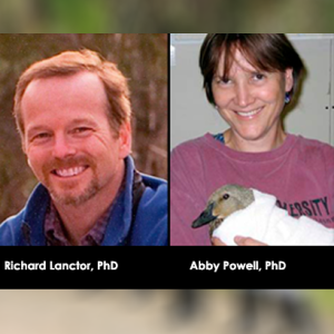 Curso sobre escritura y publicación científica