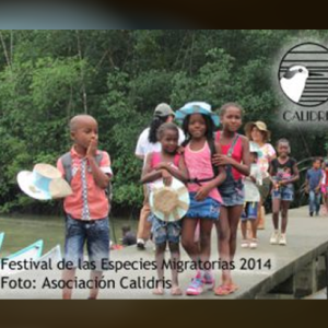Festival de las especies migratorias 2015