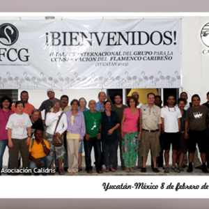 Calidris en la II Reunión del Grupo para la Conservación del Flamenco caribeño