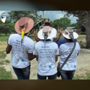 Primer festival de las aves migratorias del caribe colombiano.