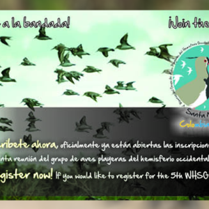 Online Registration For The 5th Whsg Meeting Is Opened