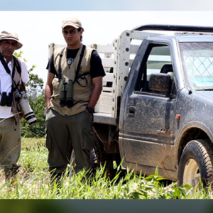 Las alas del arroz dicen adiós a su creador