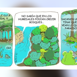 Materiales para la celebración del Día Mundial de los Humedales