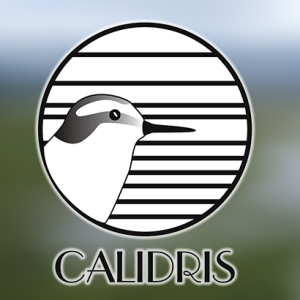 Oportunidad para Tesis o Pasantía