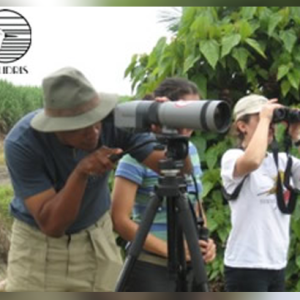 Primera Jornada del Censo Neotropical de Aves Acuáticas 2009